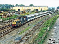 Carte Postale N° 2323 - Le Rail Ussellois