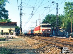 Carte Postale N° 2342 - Le Rail Ussellois