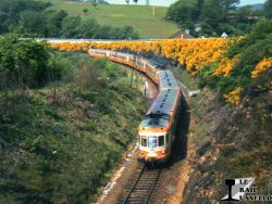 Carte Postale N° 2365 - Le Rail Ussellois